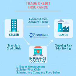 Trade Credit Insurance | Securitas Global